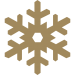 009-snowflake-shape